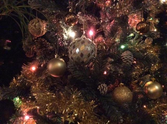 غرفة قياسية مطلّة علي الحديقة, Les Jardins De Valaurie