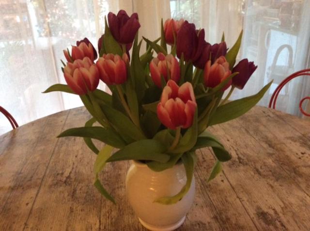 غرفة قياسية مطلّة علي الحديقة, Les Jardins De Valaurie