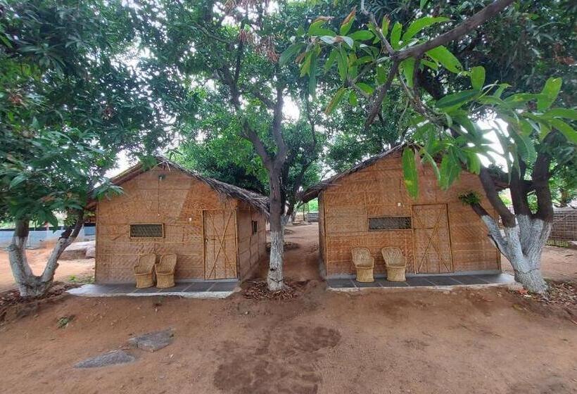 חדר דלוקס, Sunrise Guest House & Restaurant