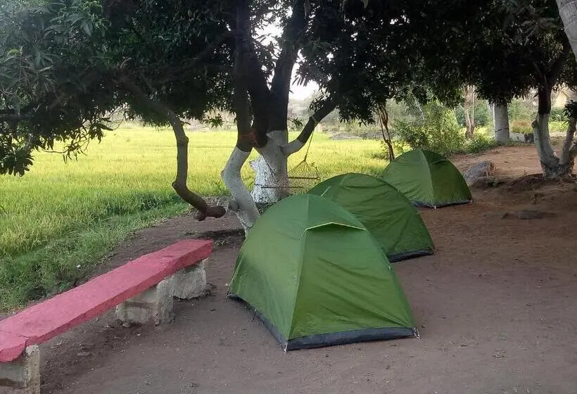 Standard Tent, Sunrise Guest House & Restaurant