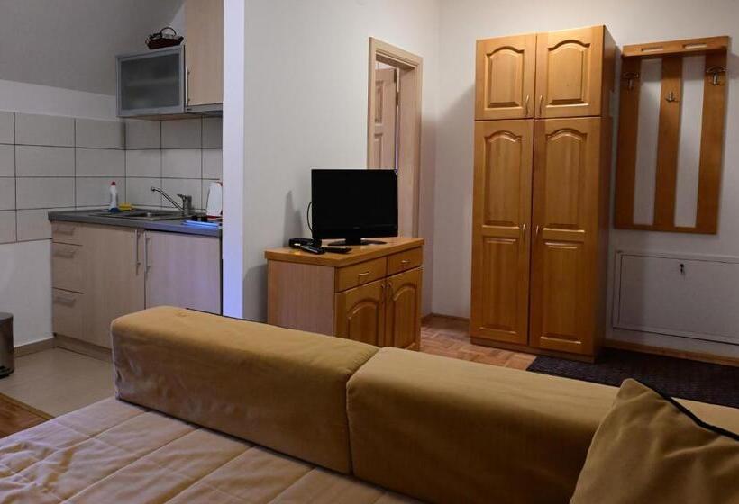 اتاق استاندارد, Vila Danica