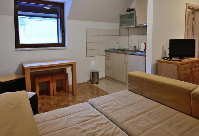 اتاق استاندارد, Vila Danica