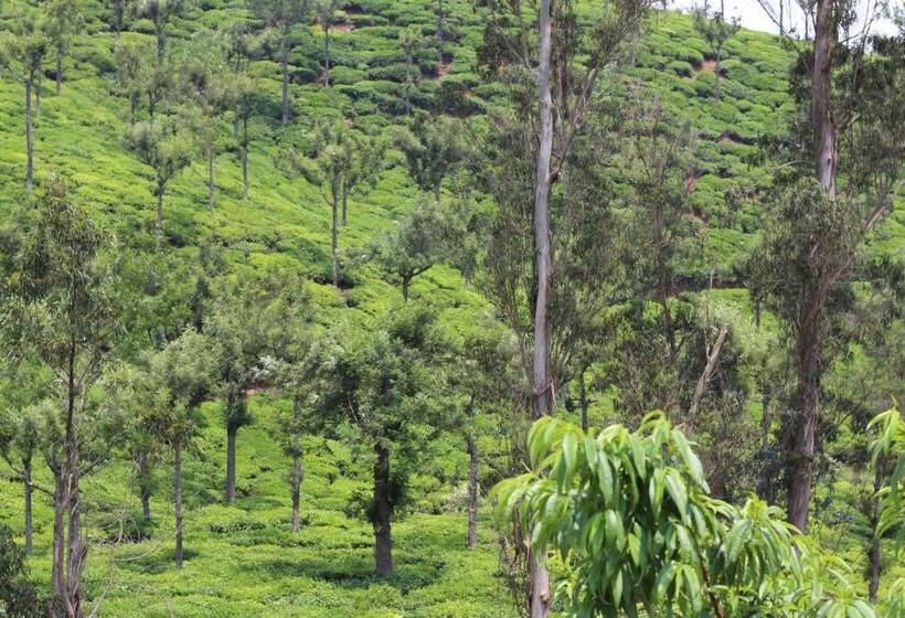 带1个卧室的别墅, Rustling River Resort