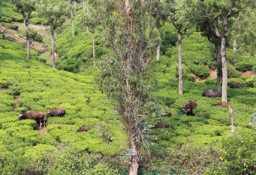 带3个卧室的别墅, Rustling River Resort