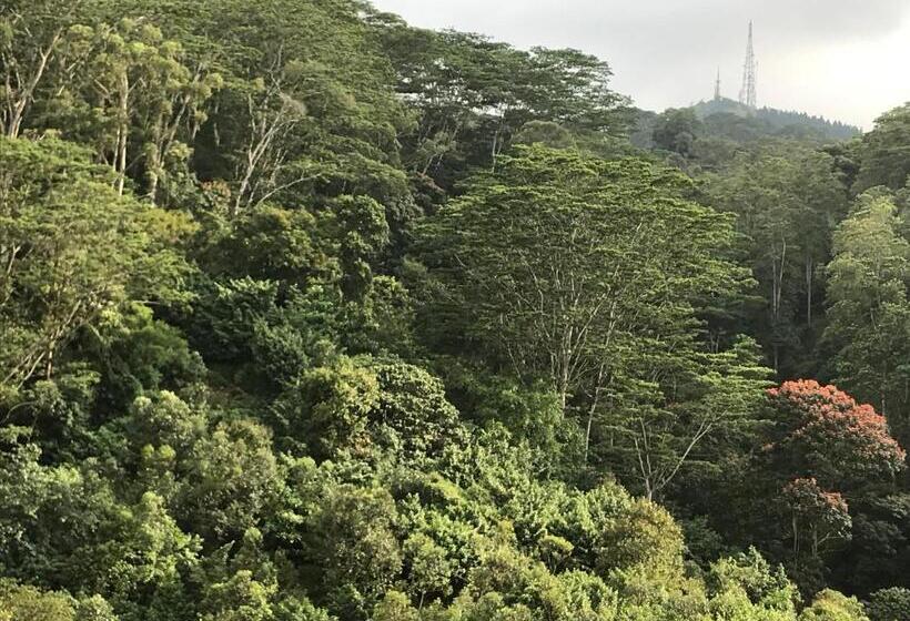 デラックスルーム, Tikiri Latha Hanthana