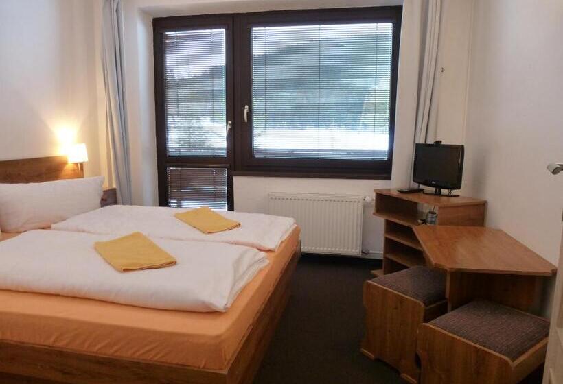 اتاق استاندارد با بالکن, Penzión Vodár