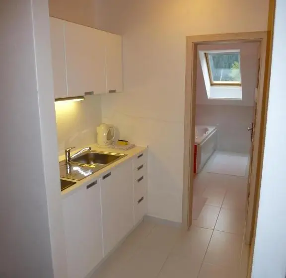 デラックスの４人部屋, Penzión Vodár