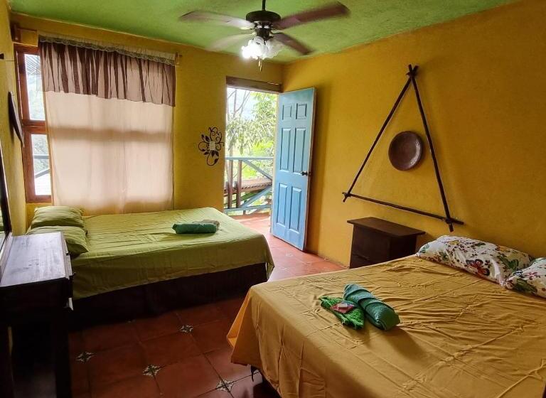 اتاق سوپریور, Caribbean Paradise