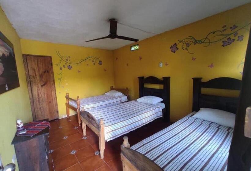 اتاق کلاسیک سه تخته, Caribbean Paradise