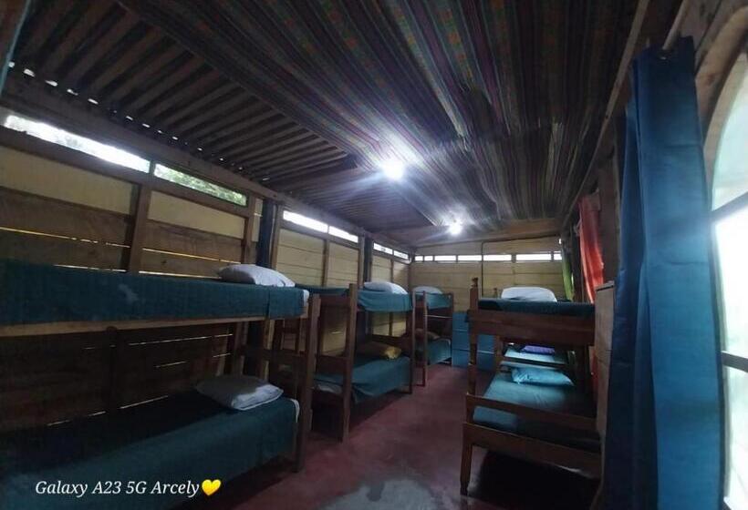 اتاق خانوادگی با سرویس بهداشتی مشترک, Caribbean Paradise