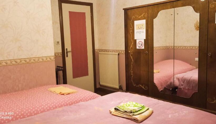 Standard 3 Pers. Værelse, Etablissement Commun Avec Chambre Privé Tranquille Avec Jardin A 10 Min A Pied De La Gare De Fleury