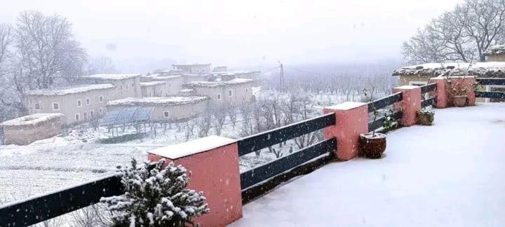 اتاق استاندارد چهار تخته, Gite Tamounte