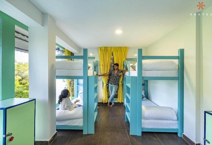 מיטה בחדר סופריור במשותף, Zostel Pondicherry, Auroville Road