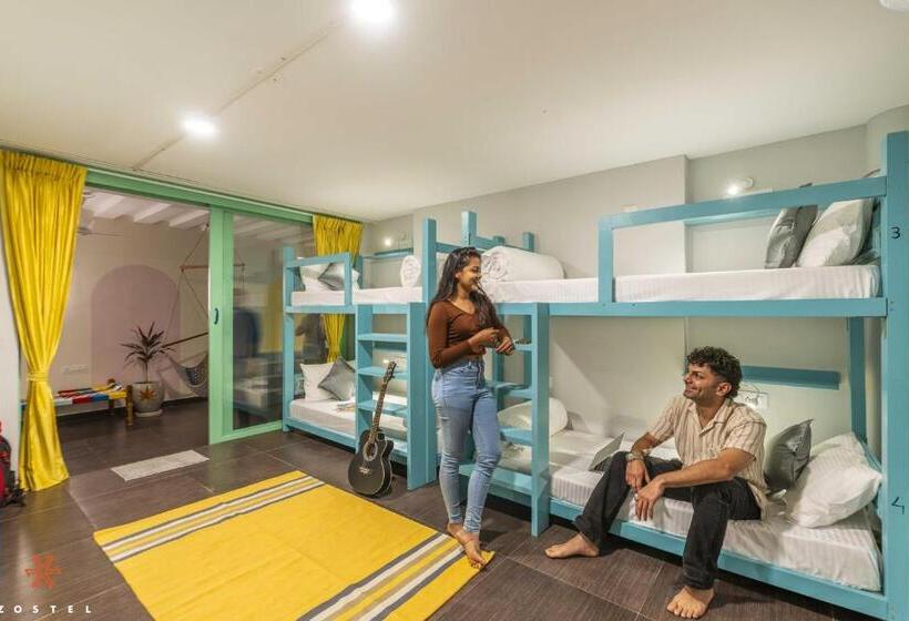 تختخواب در اتاق مشترک, Zostel Pondicherry, Auroville Road