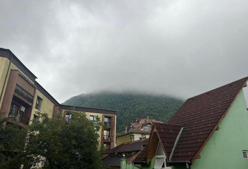 סטודיו סטנדרט, מיטה זוגית, Casa Basarab Brasov