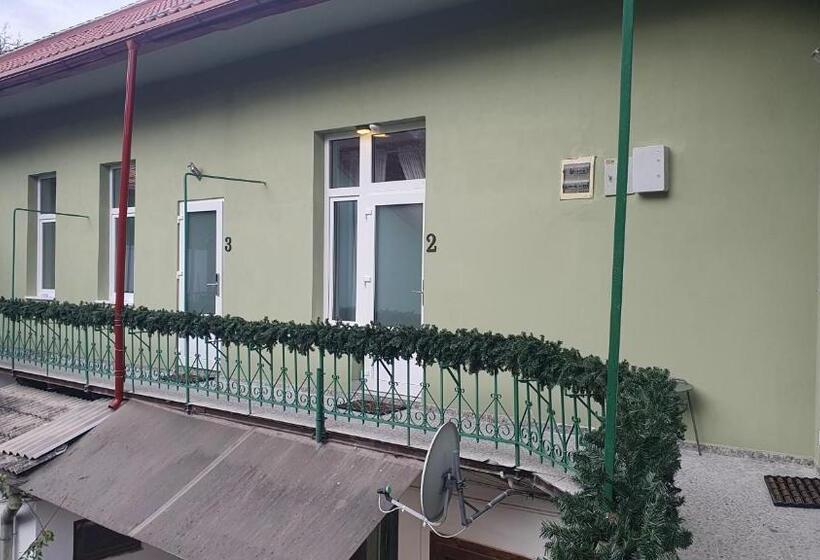 带大床的标准工作室, Casa Basarab Brasov