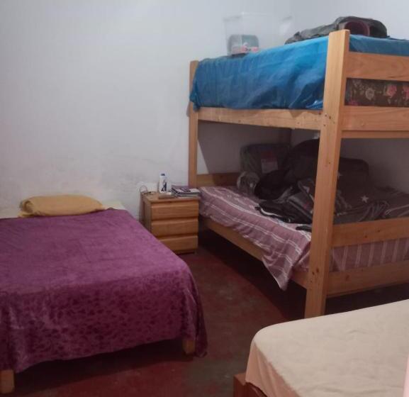 Geteiltes Mehrbettzimmer, Flowers Hostel