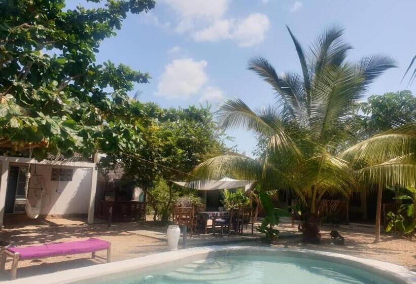 اتاق استاندارد با تراس, Villa Sunshine And Bungalows