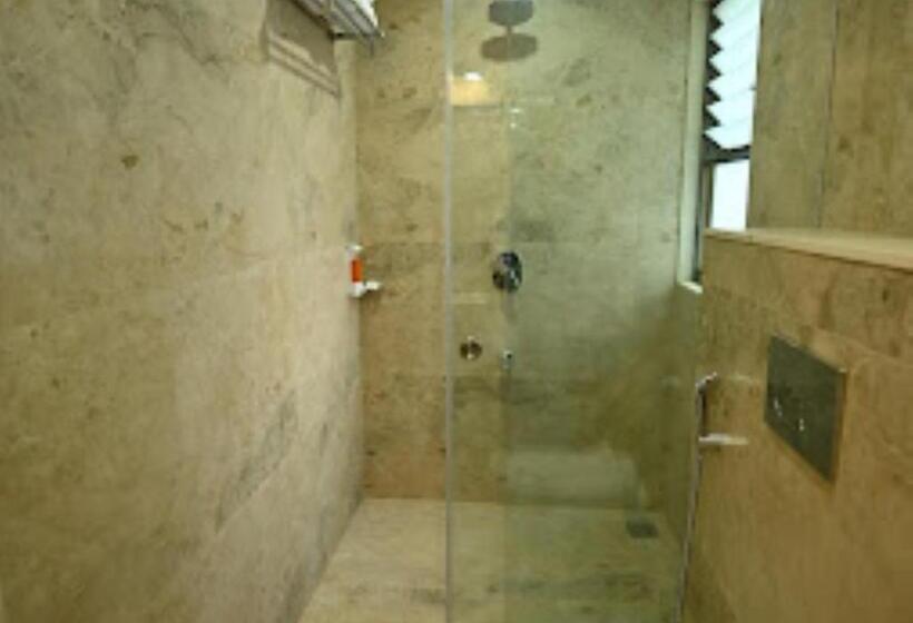 סוויטה, City Centre Latur   Lodging & Restaurant Latur