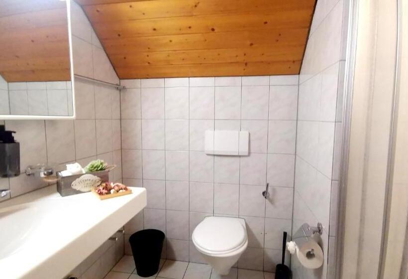 חדר סטנדרט, Il Fiore Hotel Steinach Sg