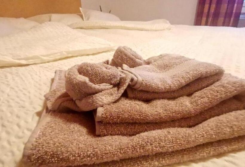 חדר סטנדרט, Il Fiore Hotel Steinach Sg