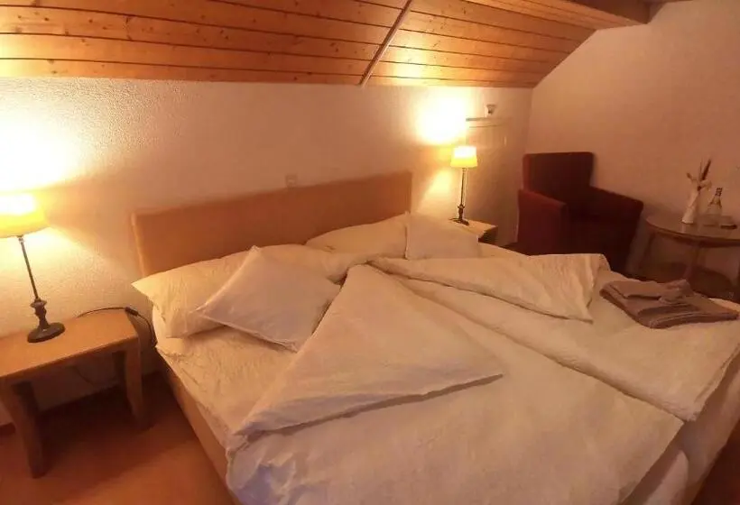 スタンダードルーム, Il Fiore Hotel Steinach Sg