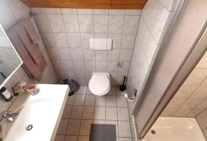 Номер Стандарт с Террасой, Il Fiore Hotel Steinach Sg