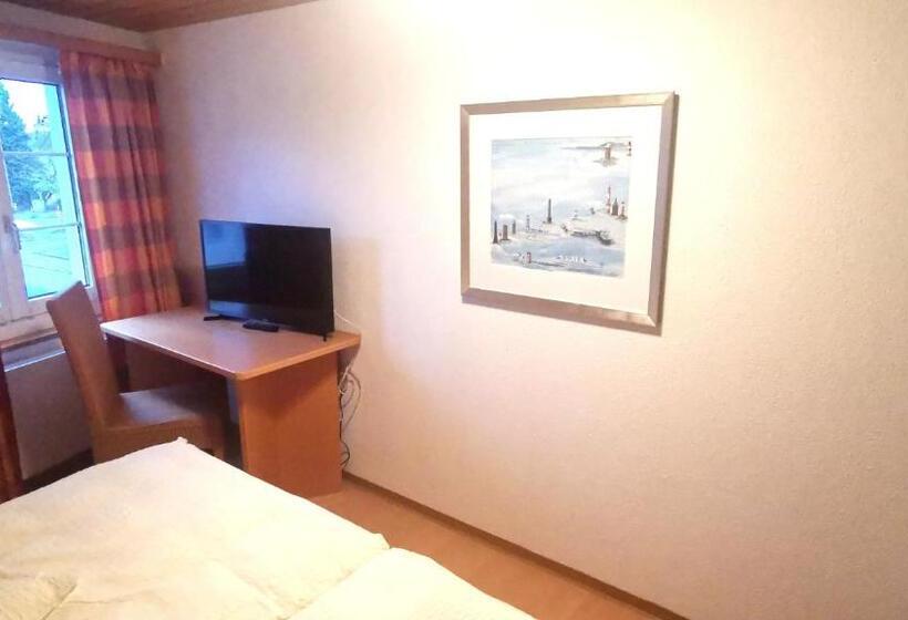 חדר סטנדרט עם טרסה, Il Fiore Hotel Steinach Sg