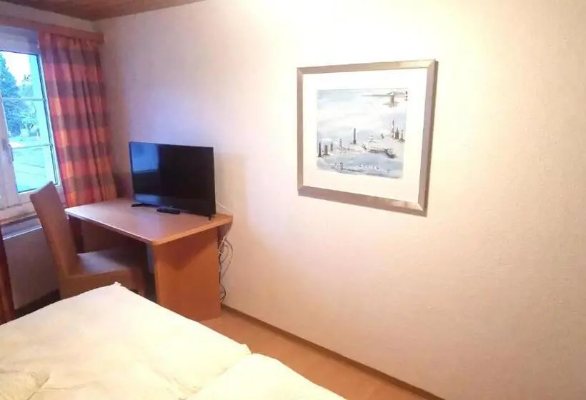 テラス付きスタンダードルーム, Il Fiore Hotel Steinach Sg