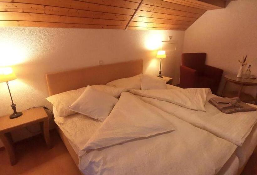 Номер Стандарт с Террасой, Il Fiore Hotel Steinach Sg
