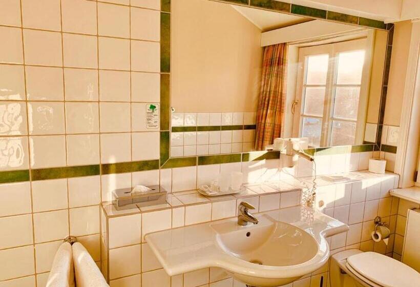 Номер Superior, Seehotel Zarrentin