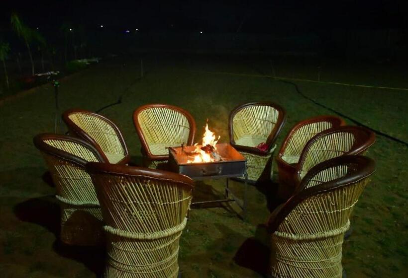 Номер Superior, Ranthambhore Jalsa