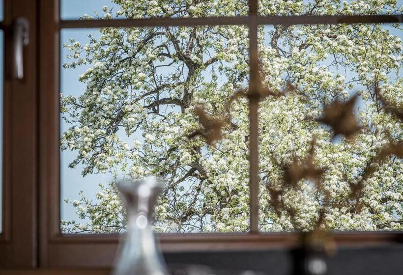 דירת חדר דלוקס, Aparthotel Stacherhof