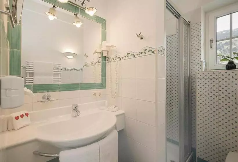 1ベッドルームペントハウスアパート, Aparthotel Stacherhof