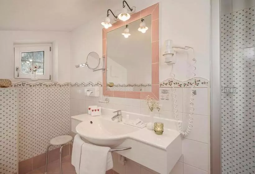 1ベッドルームペントハウスアパート, Aparthotel Stacherhof