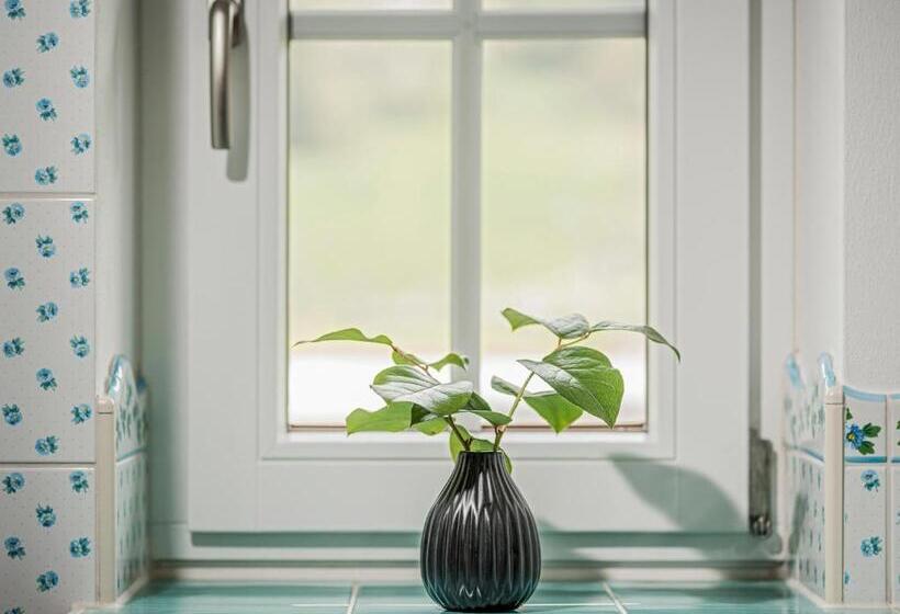 דירת פנטהאוז 1 חדרי שינה, Aparthotel Stacherhof