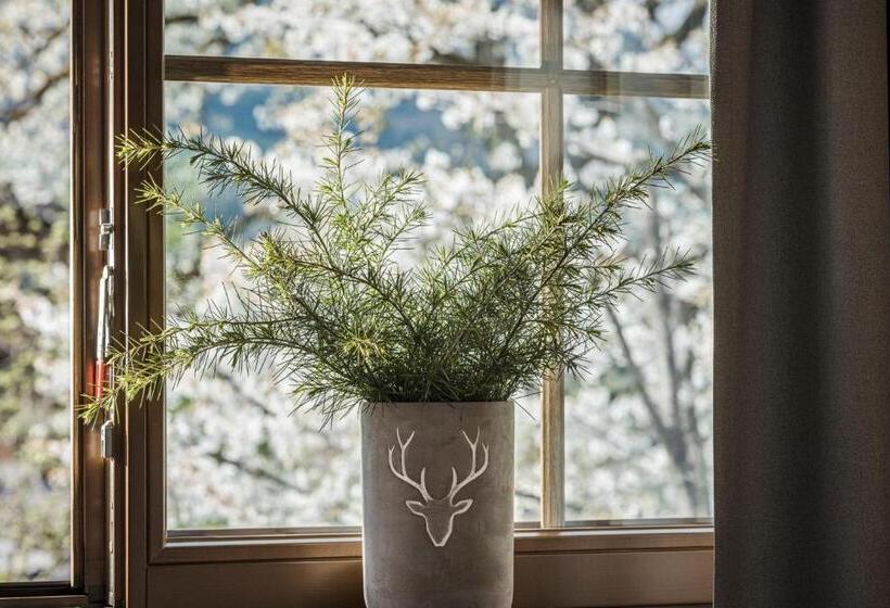 דירת חדר סופריור, Aparthotel Stacherhof