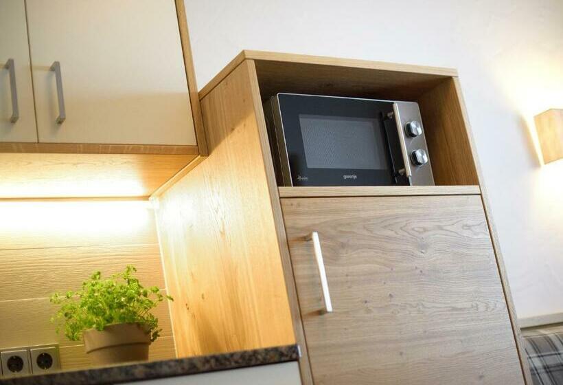 Апартаменты 1 Спальня, Aparthotel Garni Monte