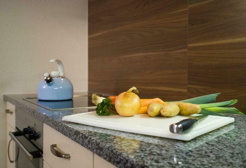 חדר סטודיו סטנדרד, Apart Marienberg