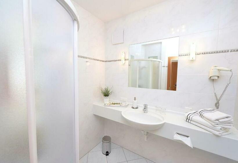 חדר סטנדרט יחיד, City Hotel Mödling