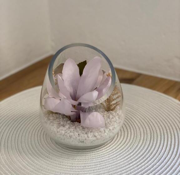 スタンダードルーム, Gasthof Pension Berghof