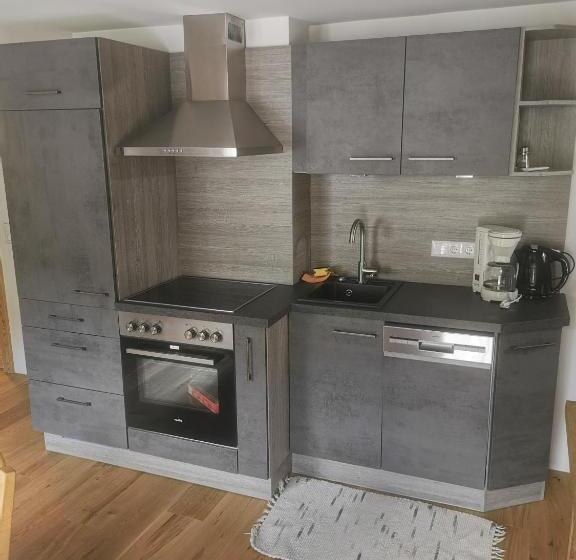 Апартаменты 1 Спальня, Gästehaus Obererlacher