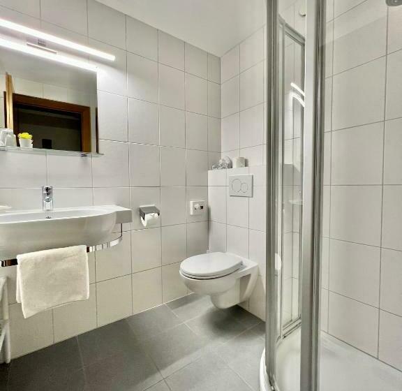 スタンダードシングルルーム, Haus Schrofenstein