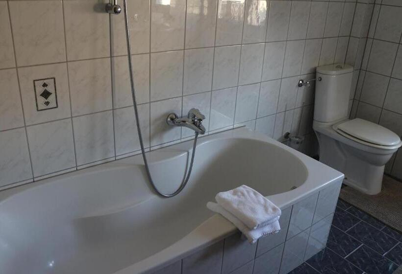 آپارتمان 2 خوابه با بالکن, Pension Wachau