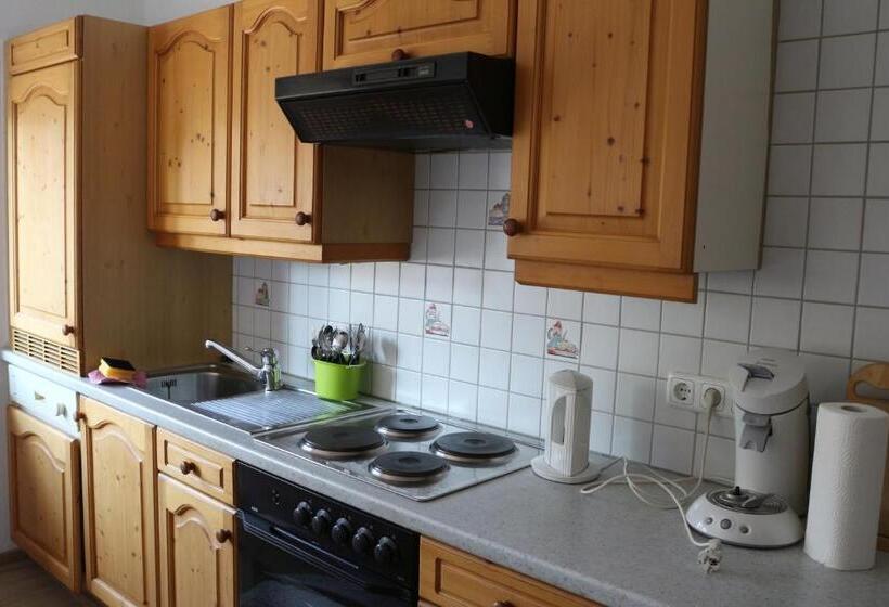 آپارتمان 2 خوابه با بالکن, Pension Wachau