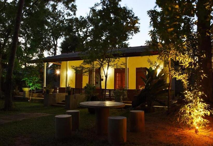 デラックスルーム, Freelance