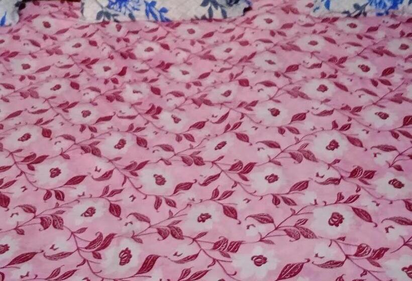 חדר משפחתי, Kameshwar Rajgir