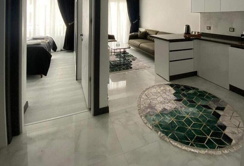 带1个卧室的豪华公寓, X Premium