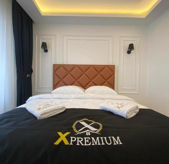 带1个卧室的豪华公寓, X Premium