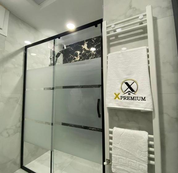 带1个卧室的豪华公寓, X Premium